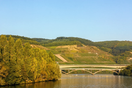 The vineyards along the river Moselle, Germany. Autumnのeditorial素材