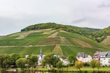 The banks of the Moselle river with vineyard and small town,Germanyのeditorial素材
