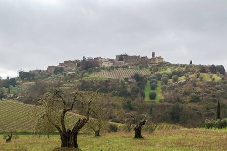landscape surroundings of Abbey of Sant Antimo, Tuscany, Italyの写真素材