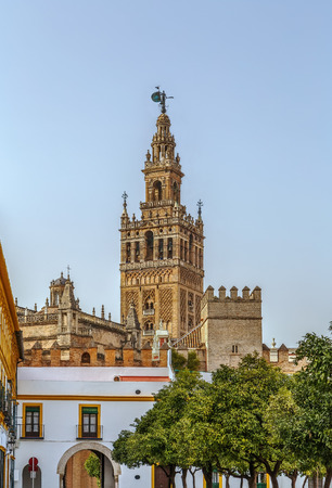 Seville Cathedral is a Roman Catholic cathedral in Seville, Andalusia, Spain. Bell tower.のeditorial素材