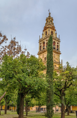 Mosque Cathedral of Cordoba also known as the Great Mosque of Cordoba  is regarded as one of the most accomplished monuments of Moorish architecture, Spain. Orange garden and Bell towerのeditorial素材