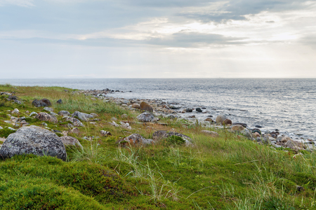 Coast of the White Sea on Big Zayatsky island, Russiaの写真素材