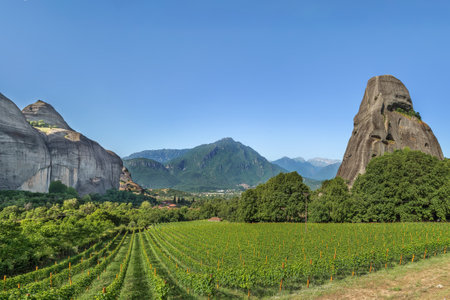 View of the vineyard and mountains in Meteora, Greeceの写真素材