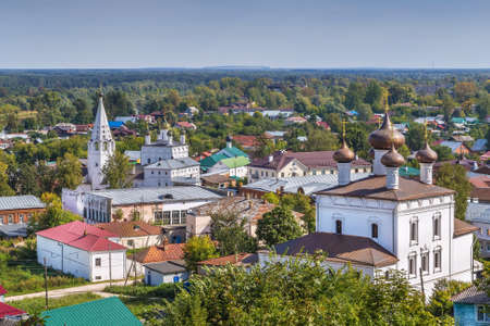 View of Gorokhovets with churchs from hill, Russia