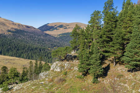 Landscape of Lago-Naki Plateau, Adygea, Russiaの写真素材