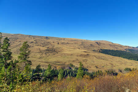 Landscape of Lago-Naki Plateau, Adygea, Russiaの写真素材
