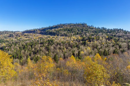 Forested mountains in Adygea in autumn, Russiaの写真素材