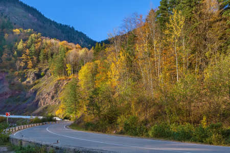 Road in forest in autumn in Adygea, Russiaの写真素材
