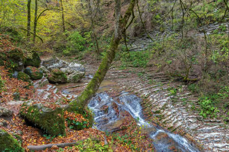 Rufabgo Stream in forest in autumn, Adugea, Russiaの写真素材