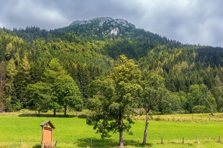 Landscape with forested mountains in Styria, Austriaの写真素材