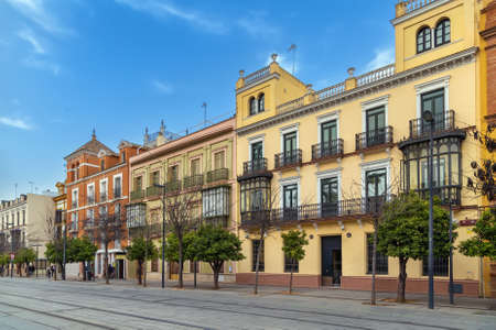 Street in Sevilla city center, Andalusia, Spainの写真素材