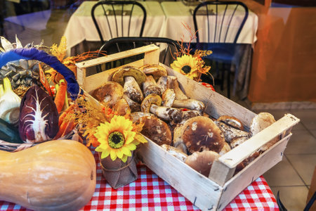 Still life with porcini mushrooms and vegetables, Turin, Italyの写真素材