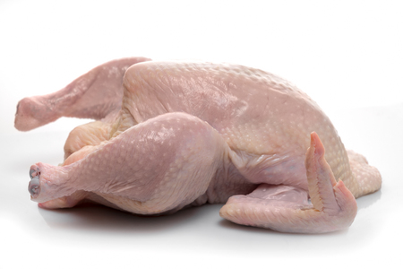 raw chicken on white backgroundの写真素材