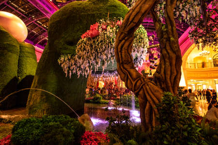 Die Party-Metropole Las Vegas bei Nacht.のeditorial素材