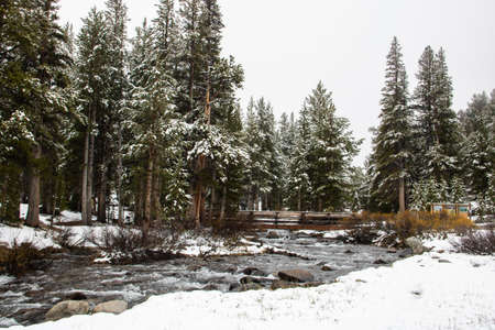 Wanderung durch den Inyo National Forest in Kalifornien nahe dem Tioga Pass. Selbst Ende Mai liegt hier noch Schnee.のeditorial素材