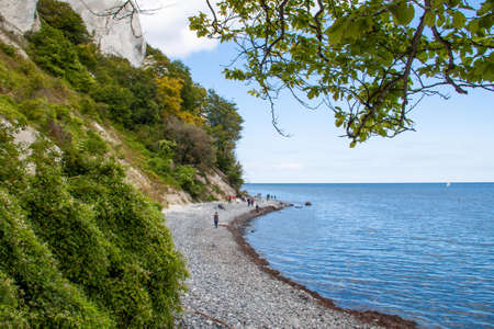 On the Mon peninsula, not far from the Danish capital, Copenhagen, there are spectacular chalk cliffs.の写真素材