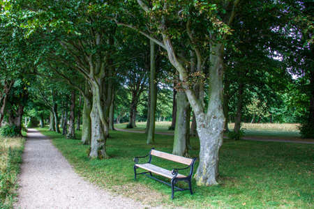The landscape on the Baltic Sea coast in the Danish Lolland exudes an incredible peace and relaxation.の写真素材