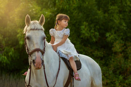 the little girl sits on a white horse astrideの写真素材