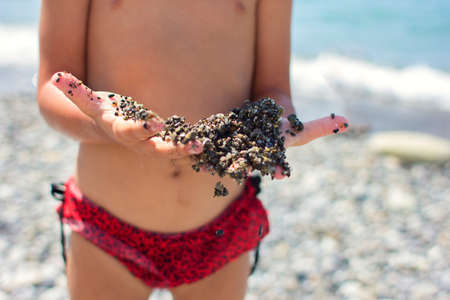The child pours sand through fingers on the beachの写真素材
