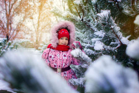 The little girl in a winter jacket in a winter landscapeの写真素材