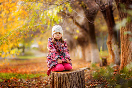 The girl in a jacket and a knitted cap sits on a stub in the park in the fallの写真素材