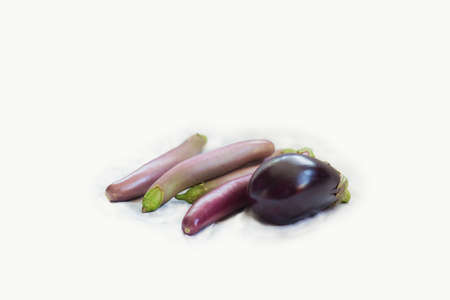 Different grades of Eggplants on a white background. Long eggplants. Vegetablesの写真素材