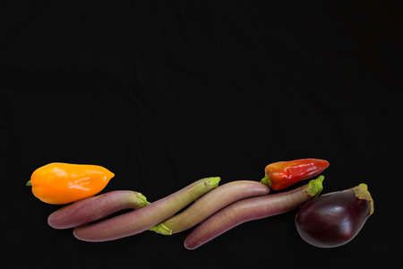 Different grades of Eggplants and pepper on a black background. Long eggplants. Vegetablesの写真素材