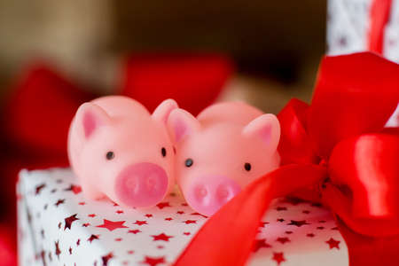 Two toy pink pigs sit on a New Year's gift with a red tapeの写真素材