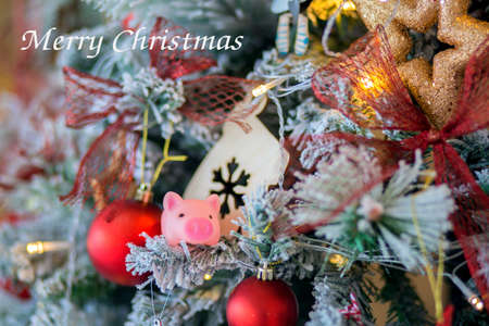 The little toy pig sits on a Christmas tree. Inscription of the Merry Christmasの写真素材