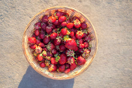 Ripe red strawberries in a wicker basket on a gray background, top view. Summer still lifeの写真素材