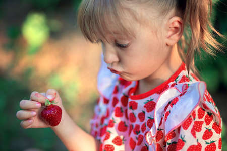 A little girl looks in surprise at a strawberry in her hands. The child makes faces.の写真素材
