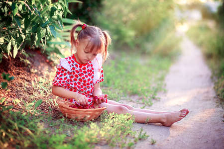 A little girl in a summer dress sits in a clearing and picks strawberries in a basket.の写真素材