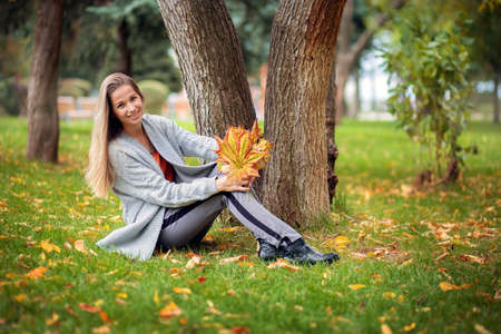 A beautiful girl in a gray cardigan sits on the grass in the park and holds a bouquet of autumn yellow maple leaves in her handsの写真素材