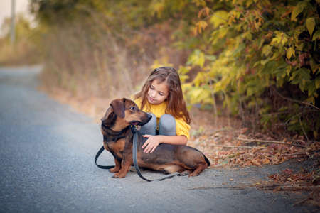 A girl walks through an autumn flogging with a dachshund dog. The child is petting his dog. Children and animalsの写真素材