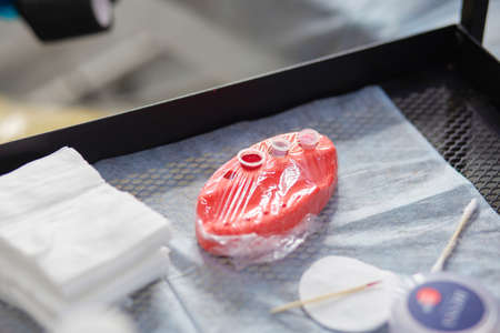 Permanent makeup workshop. Lip tattooing process. Container for pigment. Modern makeup in the salonの写真素材