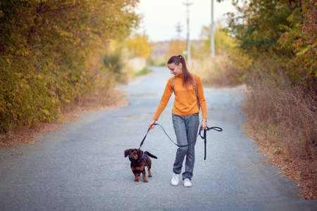 Young woman in an orange turtleneck and jeans walks with a dog on a leash in an autumn parkの写真素材