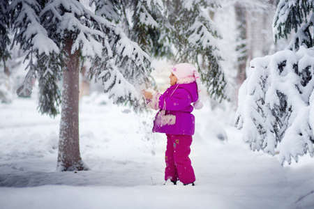 A little girl on the street in winter stands on a tree and shakes off fresh snow from the spruce branchesの写真素材