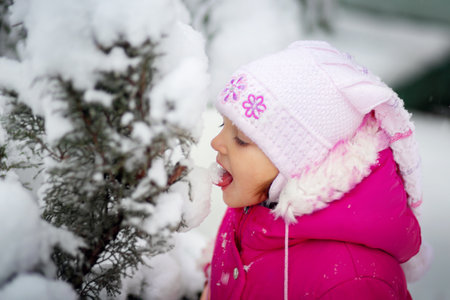 Little girl outside in winter eats snow with her tongue right from the bushの写真素材