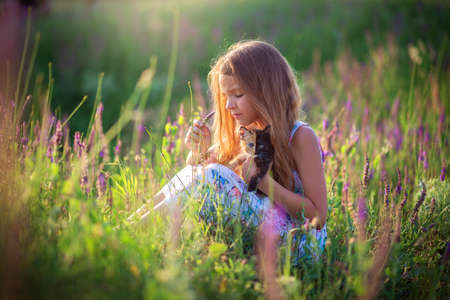 A girl sits in a blooming field with a beautiful tricolor kitten. Blooming sage. A cat with an unusual coloring for half a muzzleの写真素材