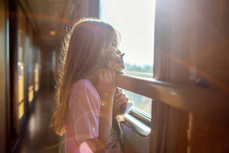 A girl is riding in a compartment carriage with a kitten. Traveling with animals by train. A child with a cat looks out the window on a trainの写真素材