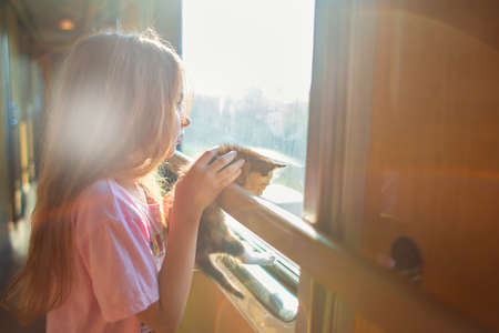 A girl is riding in a compartment carriage with a kitten. Traveling with animals by train. A child with a cat looks out the window on a trainの写真素材