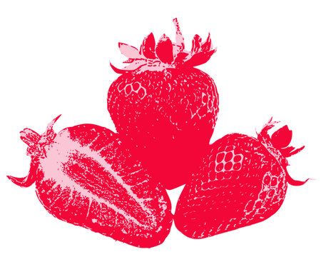 A modern pop-art inspired illustration of multiple strawberries, using strong lines and color contrast to bring out their rich texture.のイラスト素材