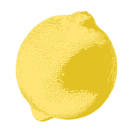 A bold, graphic-style lemon standing alone, with an artistic grainy texture and slight shading, creating a retro-inspired fruit illustration.のイラスト素材