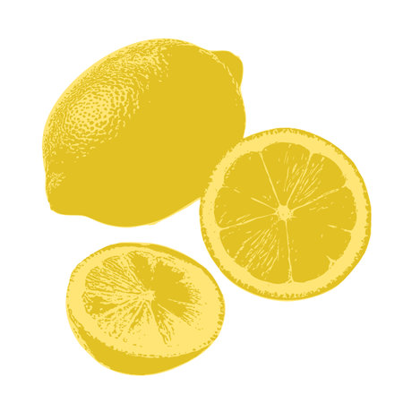 A composition featuring a whole lemon and two halves, arranged in an artistic layout, with detailed cross-sections and light shading, giving the image depth and a lively.のイラスト素材