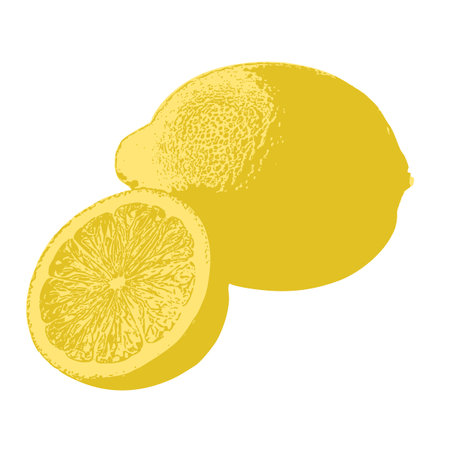 A realistic yet stylized illustration of a lemon and its half, placed together to create a harmonious, fresh composition, ideal for packaging and branding.のイラスト素材