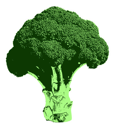 Highly Textured Broccoli in a Pop Art Style â a bold, high-contrast broccoli design with graphic shading and dynamic tones.のイラスト素材