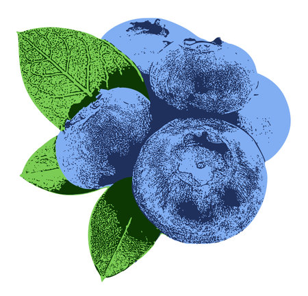 A realistic yet stylized depiction of a small handful of blueberries with attached leaves,...