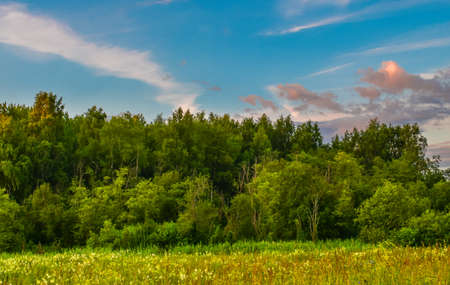 The morning sun illuminates the edge of the forest and cloudsの写真素材