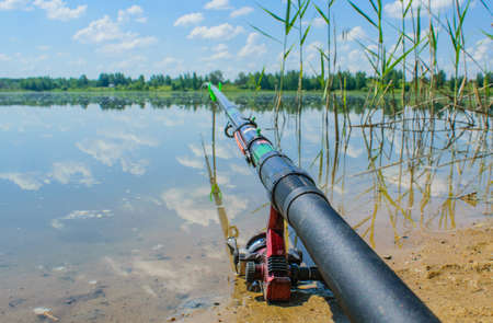 Summer fishing on the lake