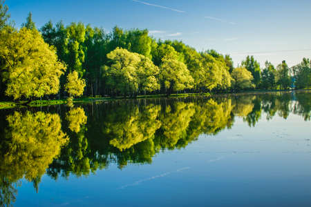 Early spring morning in the city Parkの写真素材